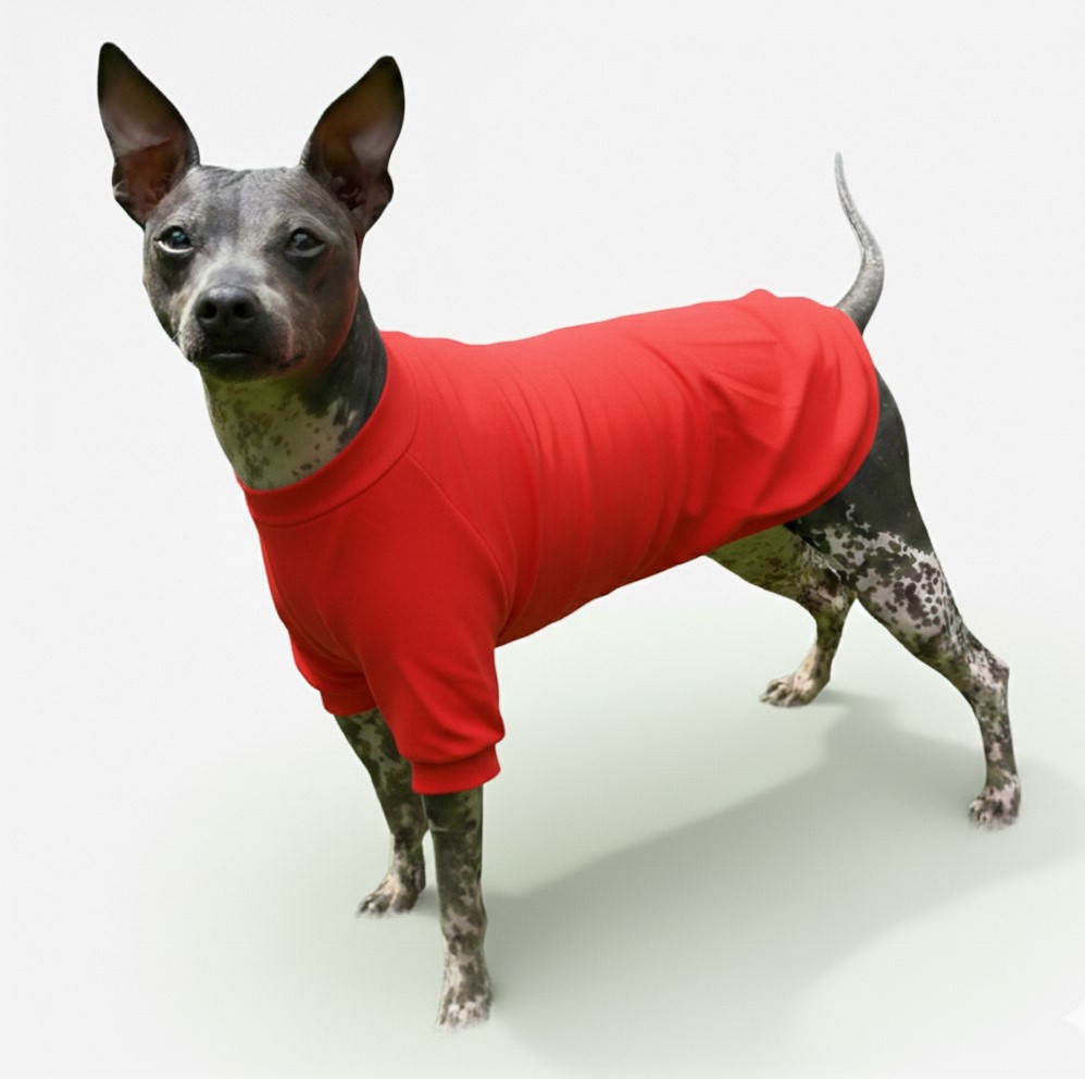 Jumper Bamboo