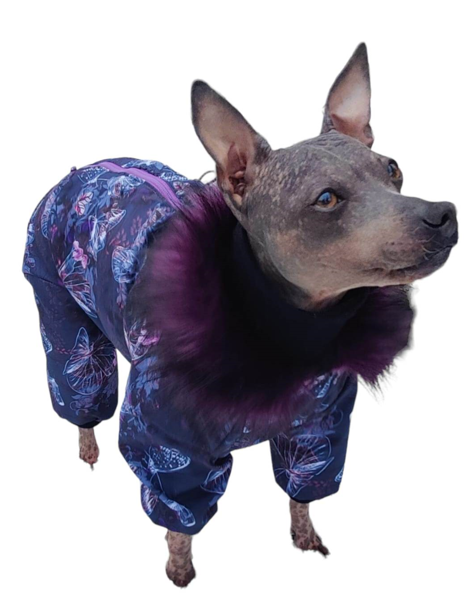 Do sněhu, na zimu