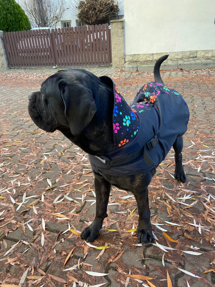 Bunda softshellová - Barevné tlapky/černá