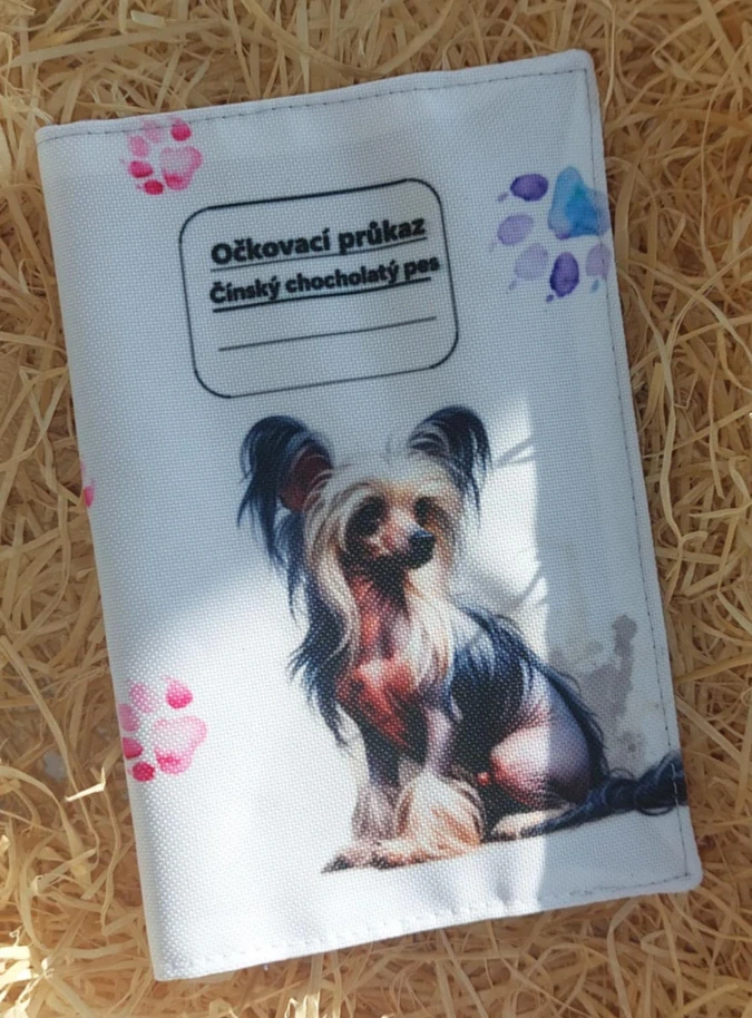 Čínský chocholatý pes - bílý