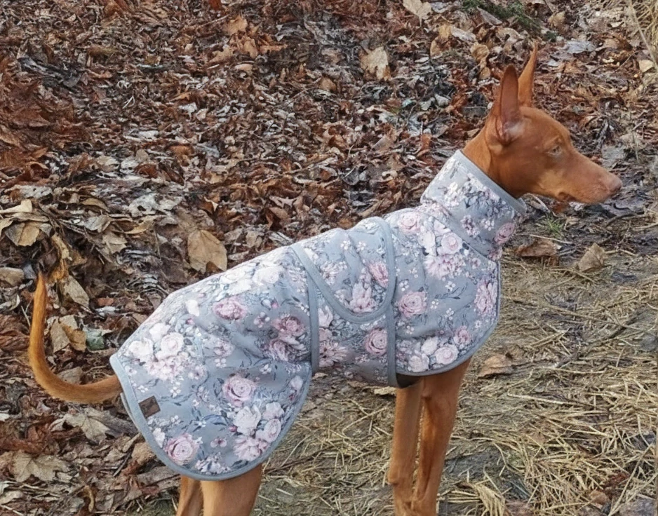 Bunda zimní beránková s límcem- Snowy rose