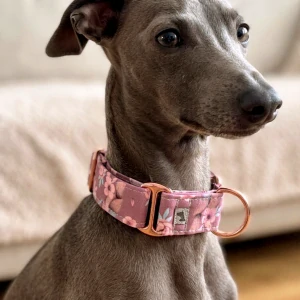 Obojek Martingale- Martingale