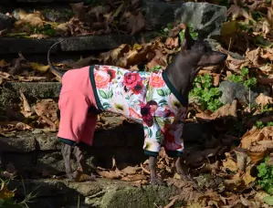 Mikinokalhotkový overal - růžičky na bílém podkladu 35/52