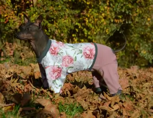 Mikinokalhotkový overal -Pivoňkyna bílé 35/52