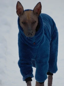 Overal Grizzly - Navy