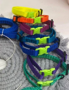 Obojek z barevného popruhu 10mm (obvod 24 až 38cm)