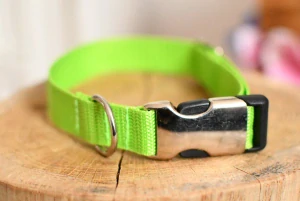 Obojek z barevného popruhu 20mm/24-36cm