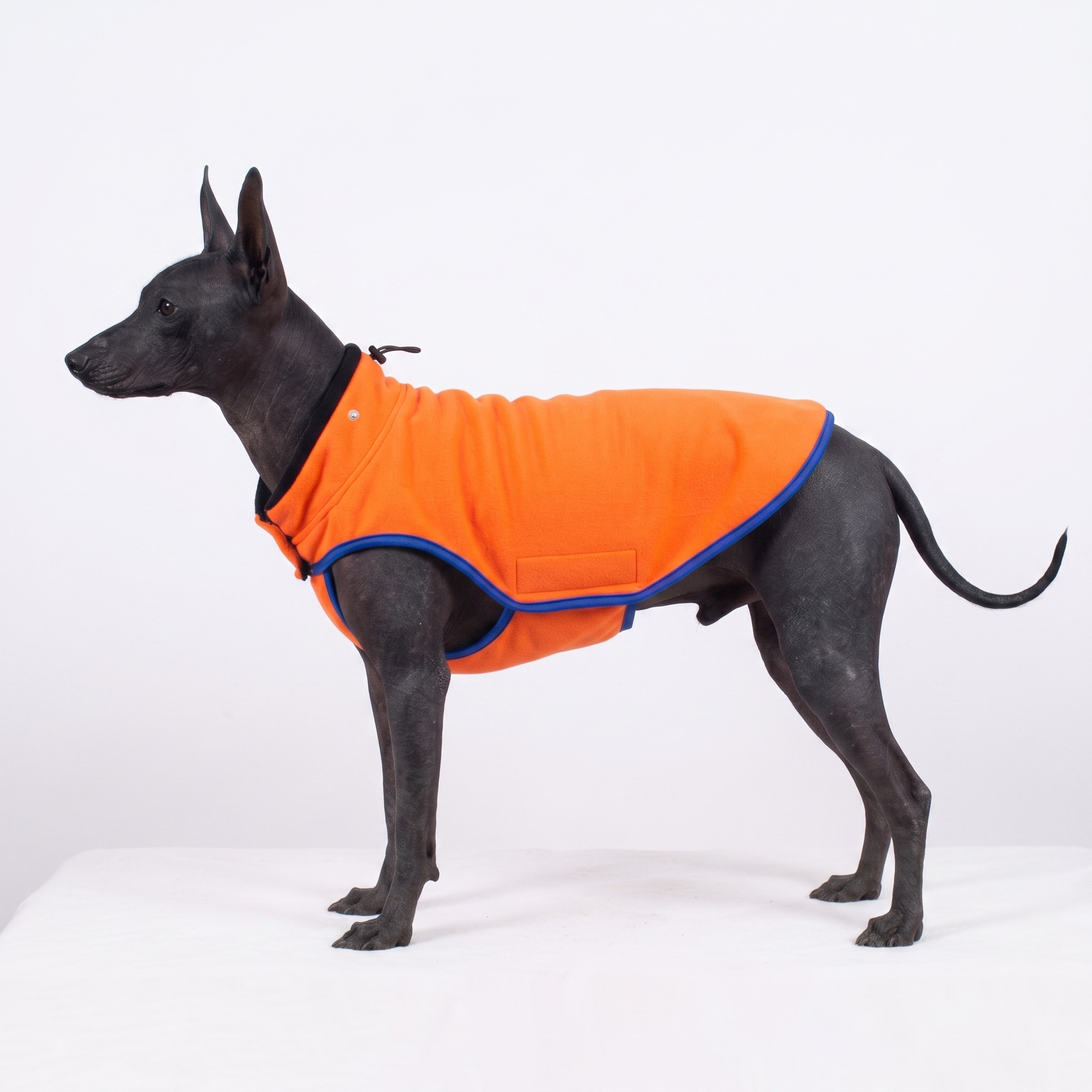 Bunda softshellová neon oranžová vel.30