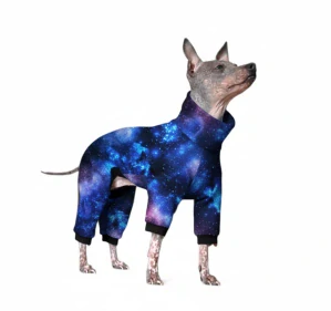 Overal Galaxie