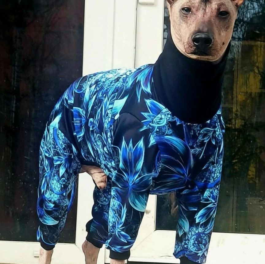 Overal Lenka modrý