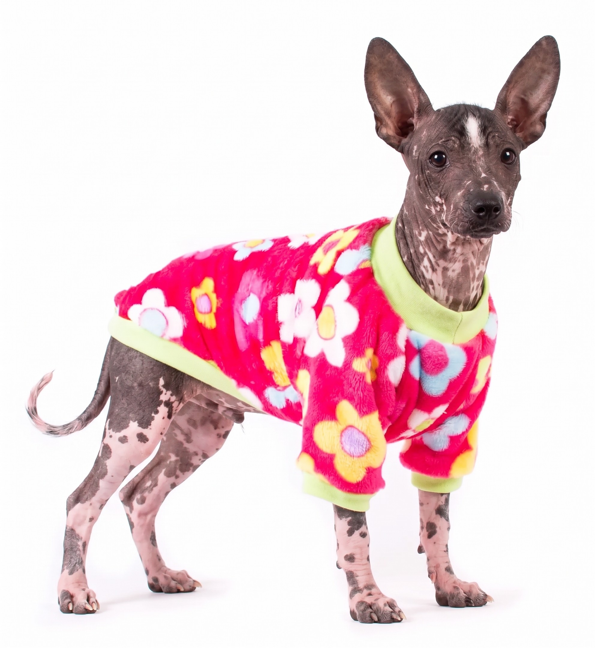 Mikina květy na coral fleece