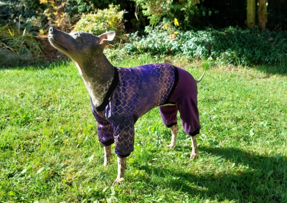 Overal mikinokalhotkový - Hadí kůže s kalhotkami 35/52