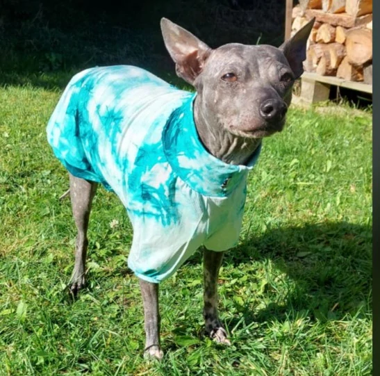 Triko bambusové z bílozelené batiky