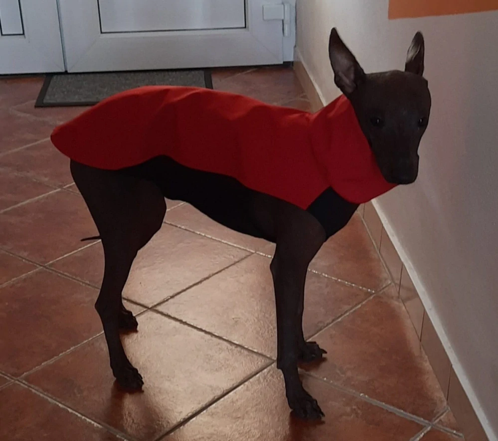 Bunda softshellová vestová červená