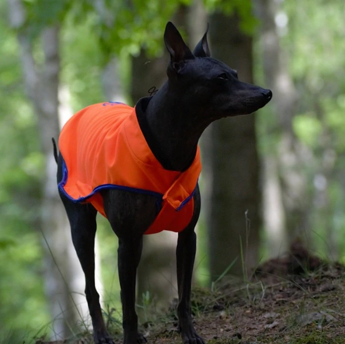 Bunda softshellová neon oranžová vel.30