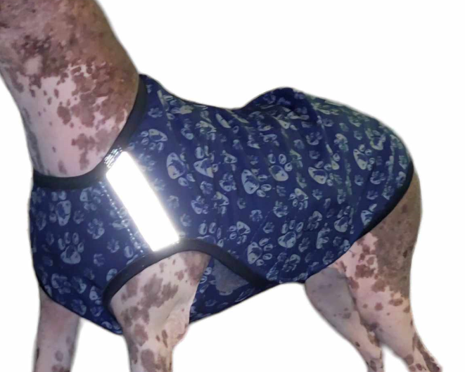 Bunda softshellová vel.38