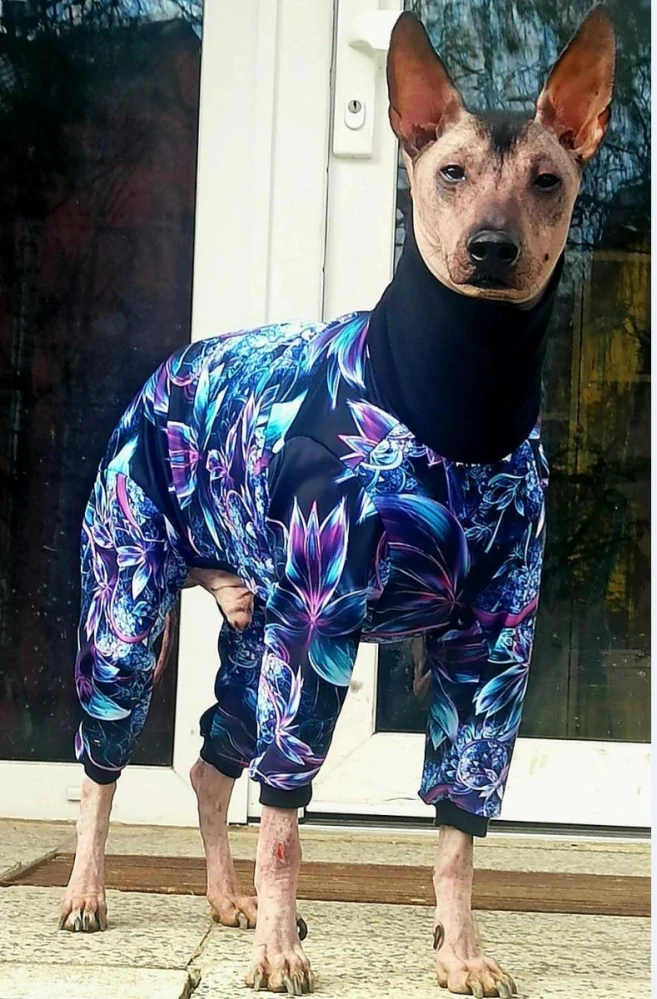 Overal Lenka fialový 