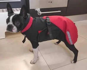 Zimní softshellová bunda - červenočerná