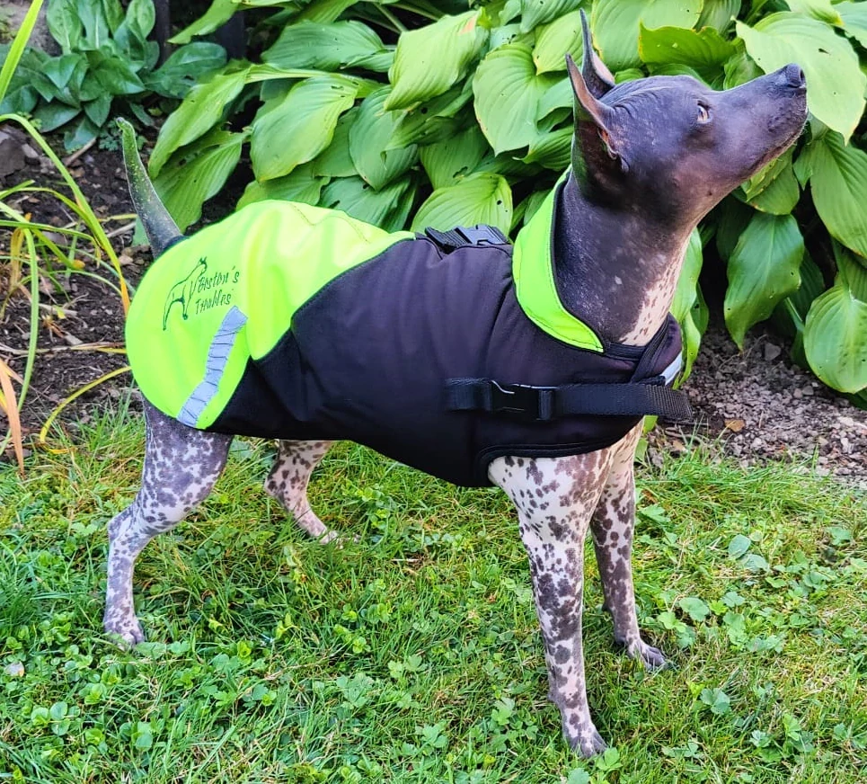 Zimní softshellová bunda - neon zelená černá vel.28