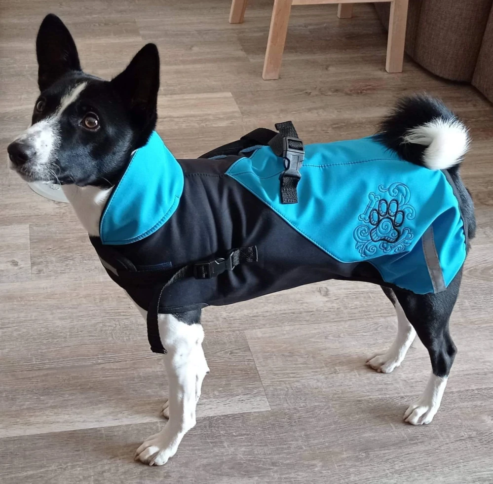 Zimní softshellová bunda - tyrkys černá