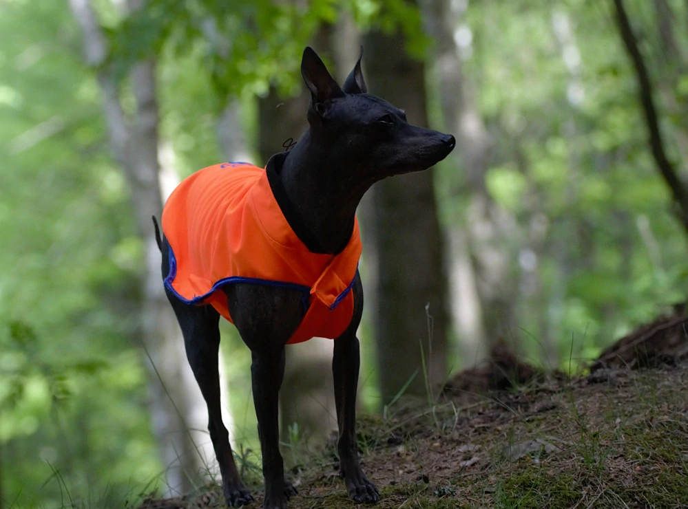 Bunda softshellová neon oranžová vel.30