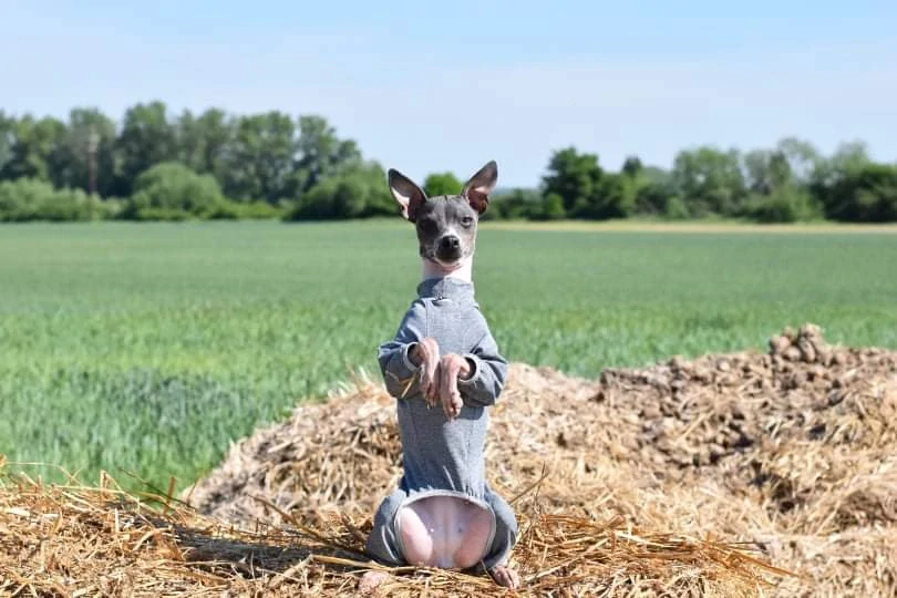 Termoprádlo overal šedý melír - vel.28
