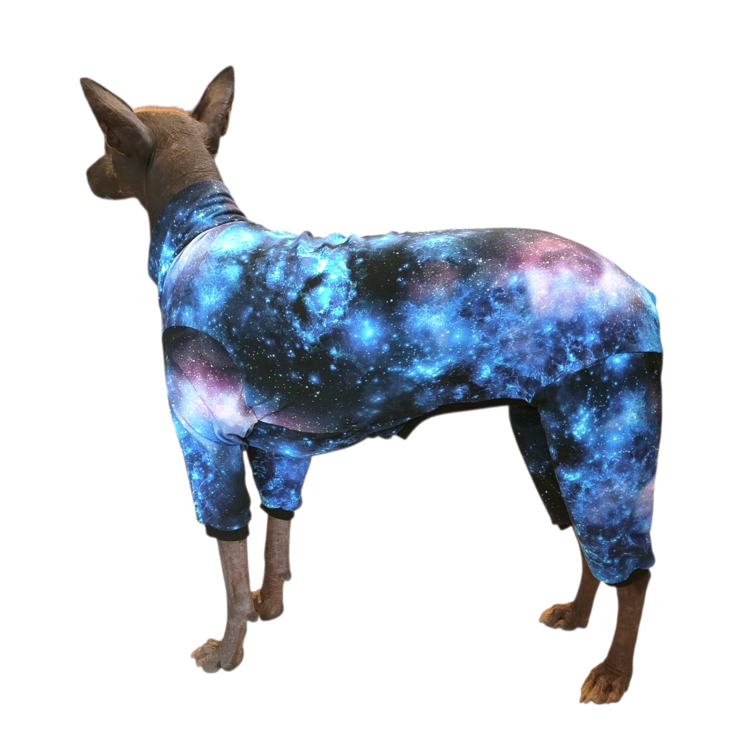 Overal Galaxie