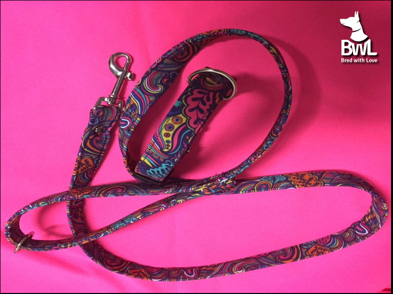 Obojek - Fialové ornamenty