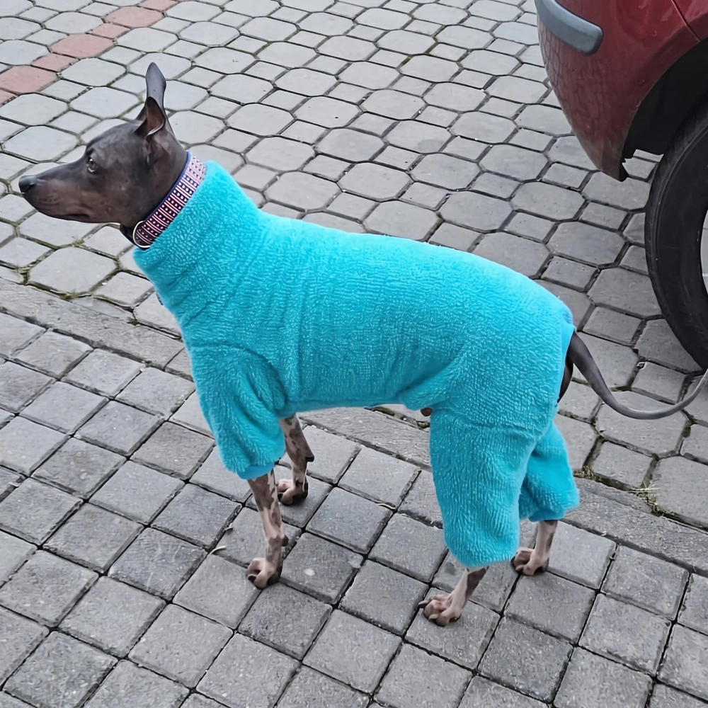 Overal Medvídek - tyrkysový 