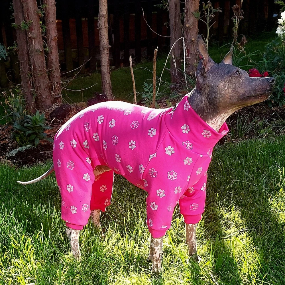 Overal glitrové tlapky na tmavě růžové