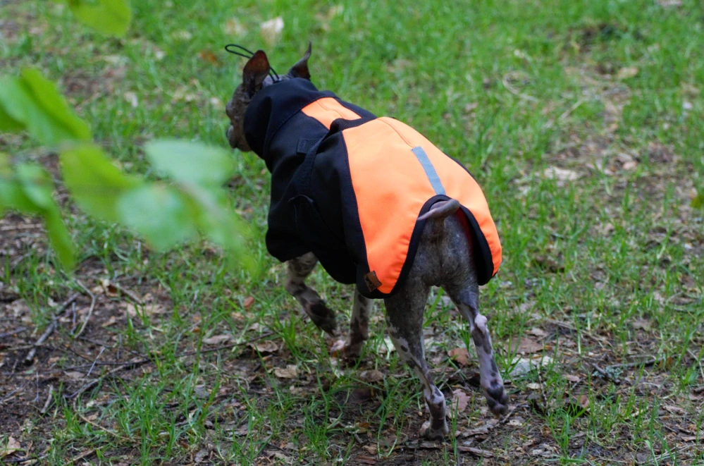 Bunda softshellová s límcem- neon oranžová/černá