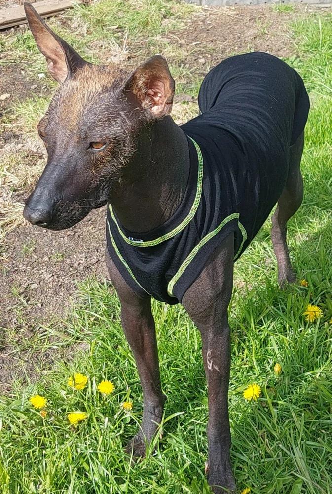 Tílko Merino černé/neon žlutý steh