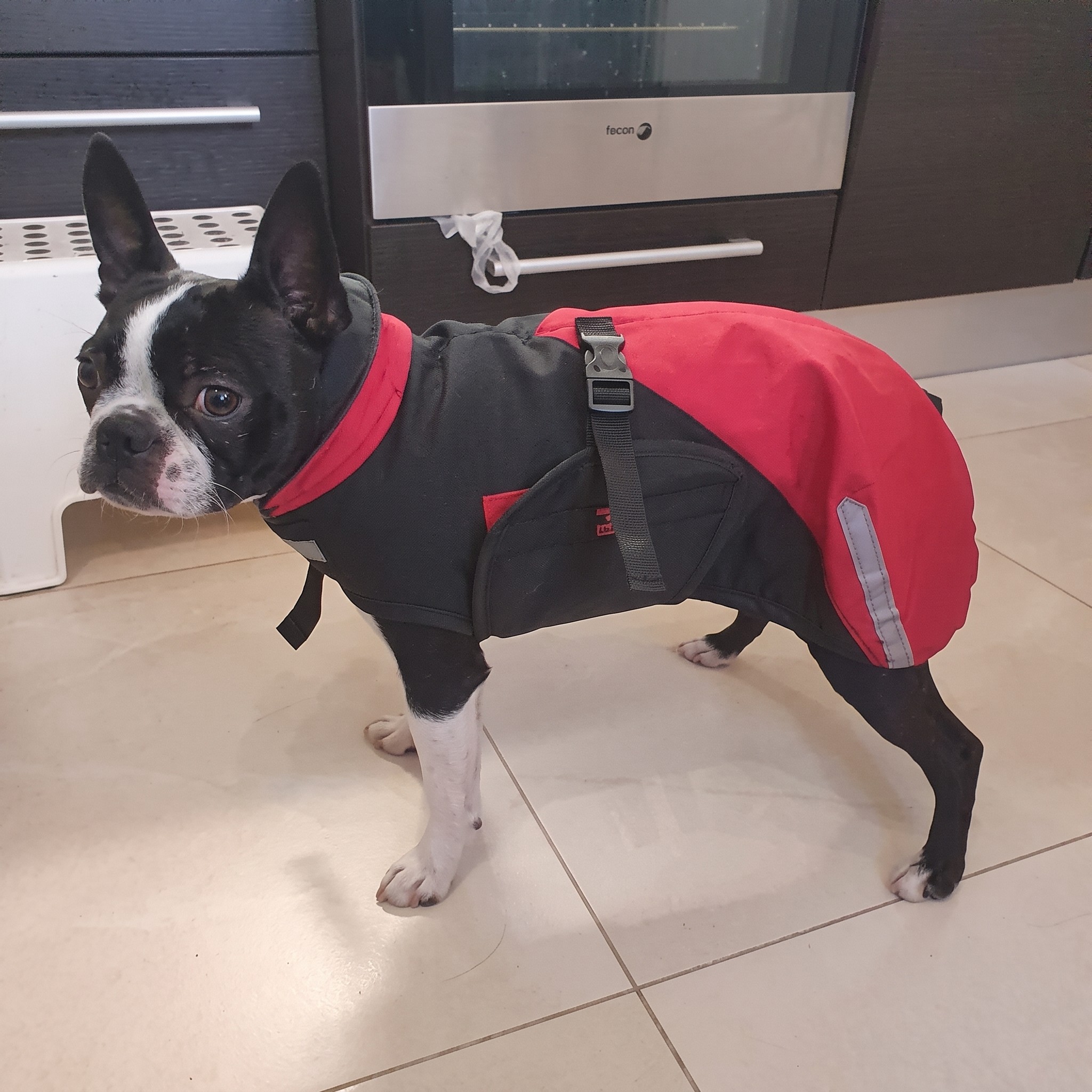 Zimní softshellová bunda - červenočerná