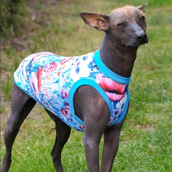 Tílko - Máky na louce