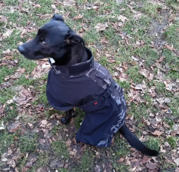 Bunda zimní s límcem - reflexní maskáč