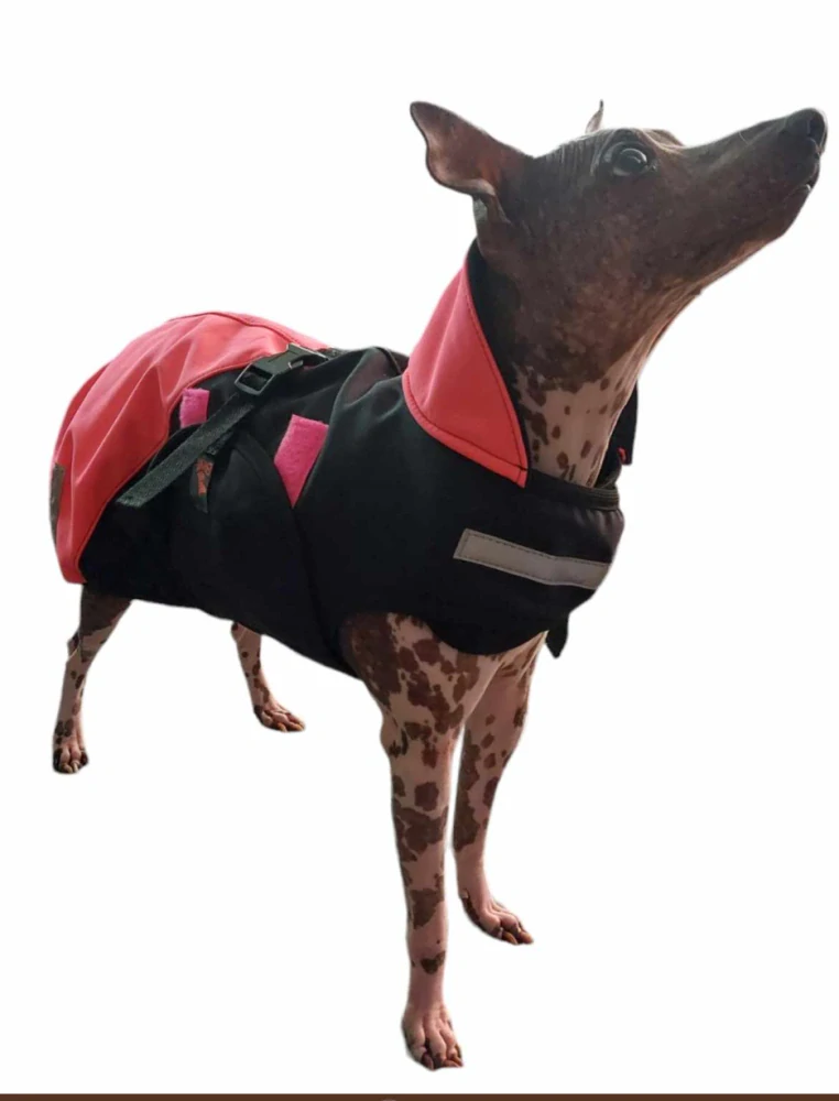 Zimní softshellová bunda - neon růžová černá