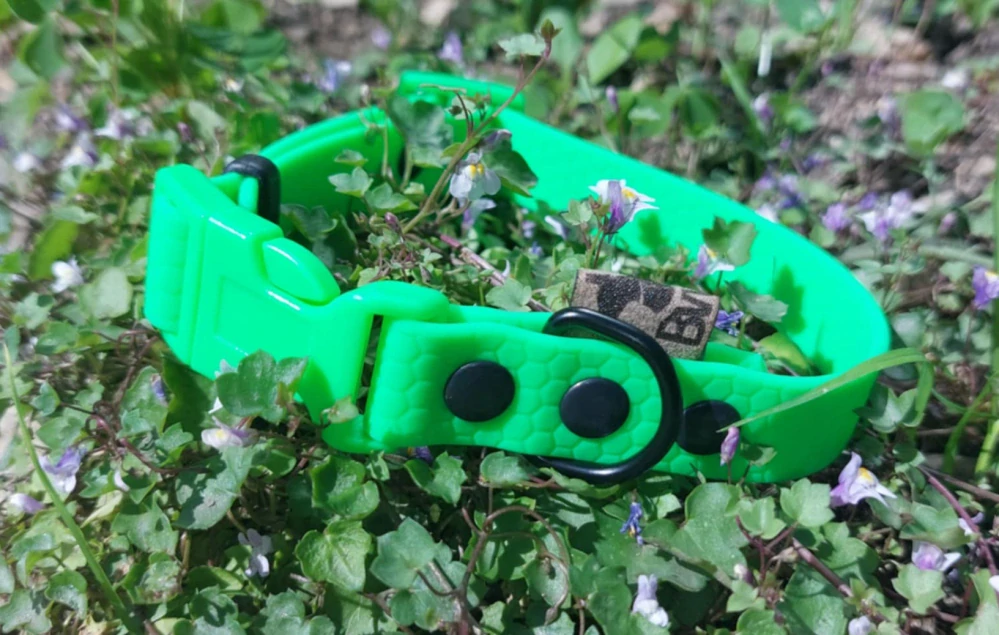 Obojek Hexa neonově zelený se sponou