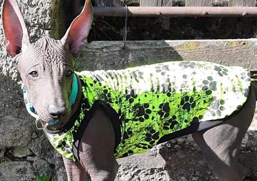 Tílko - černé tlapky na zeleném neonu