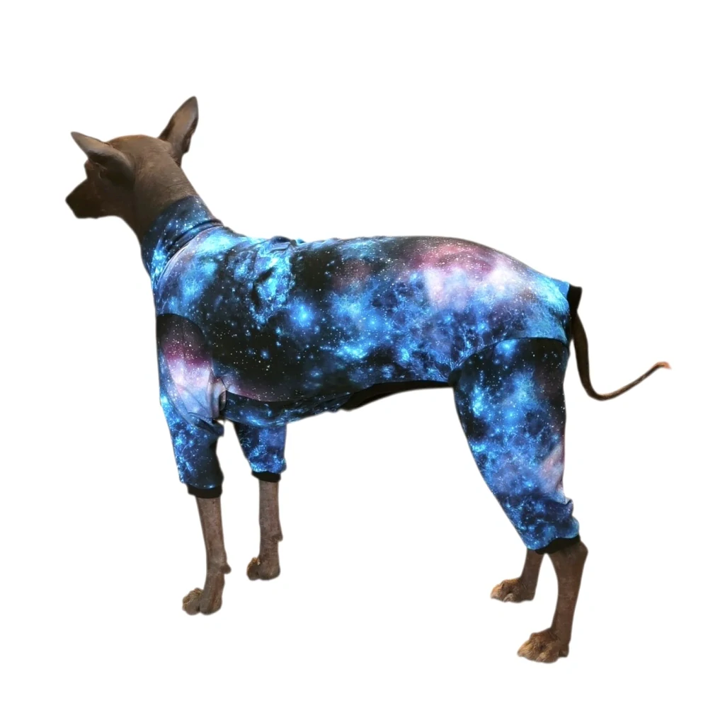 Overal Galaxie