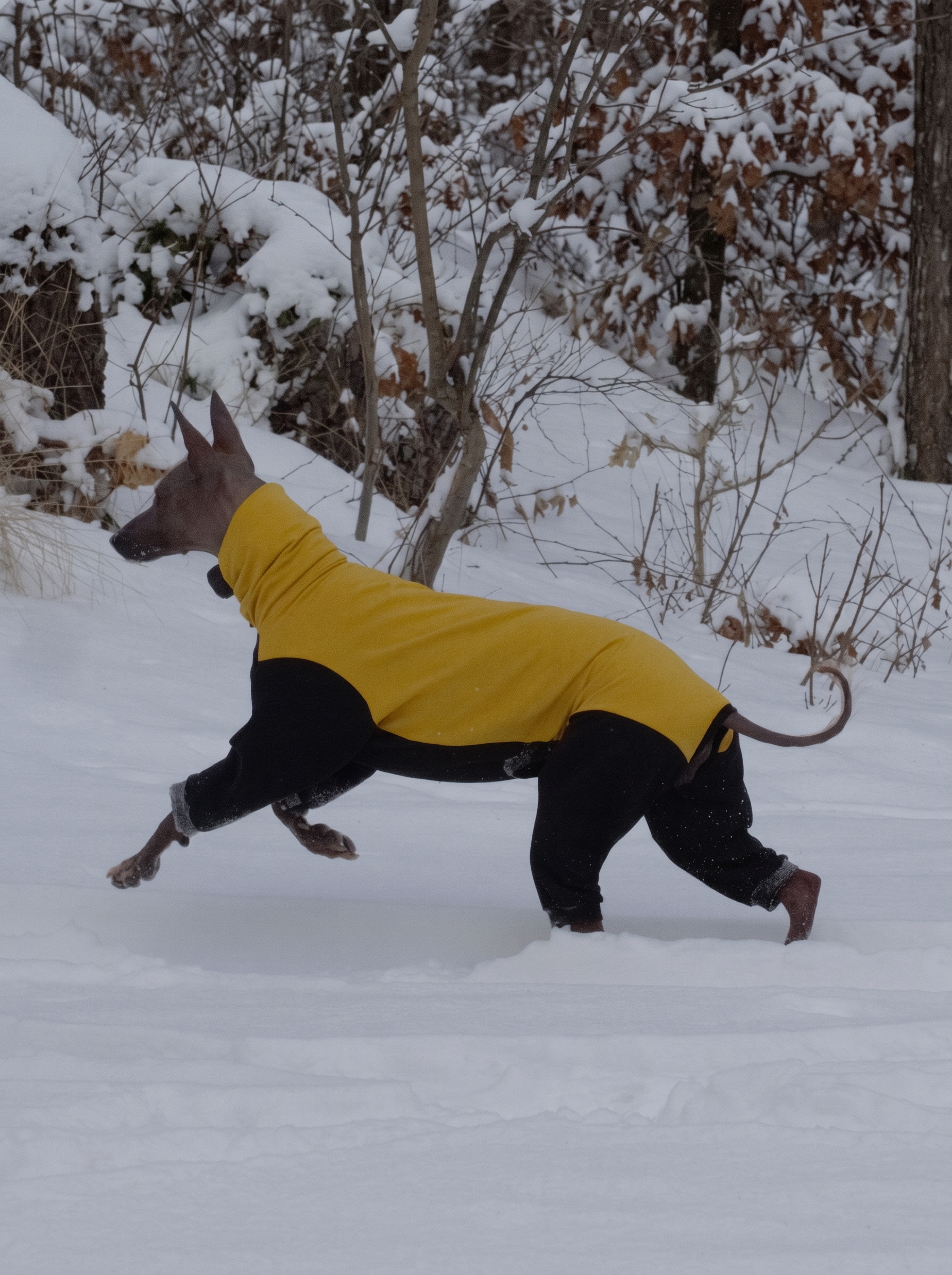 Slide
